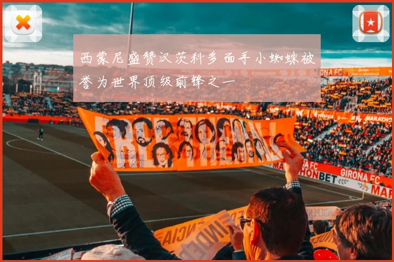 西蒙尼盛赞汉茨科多面手小蜘蛛被誉为世界顶级前锋之一