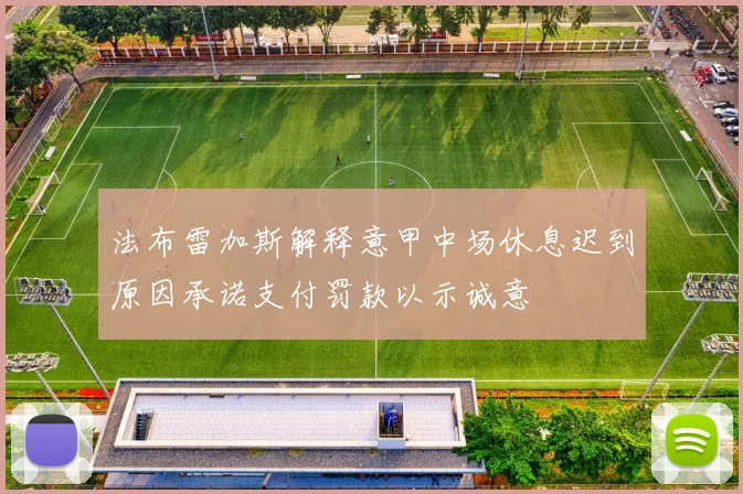 法布雷加斯解释意甲中场休息迟到原因承诺支付罚款以示诚意